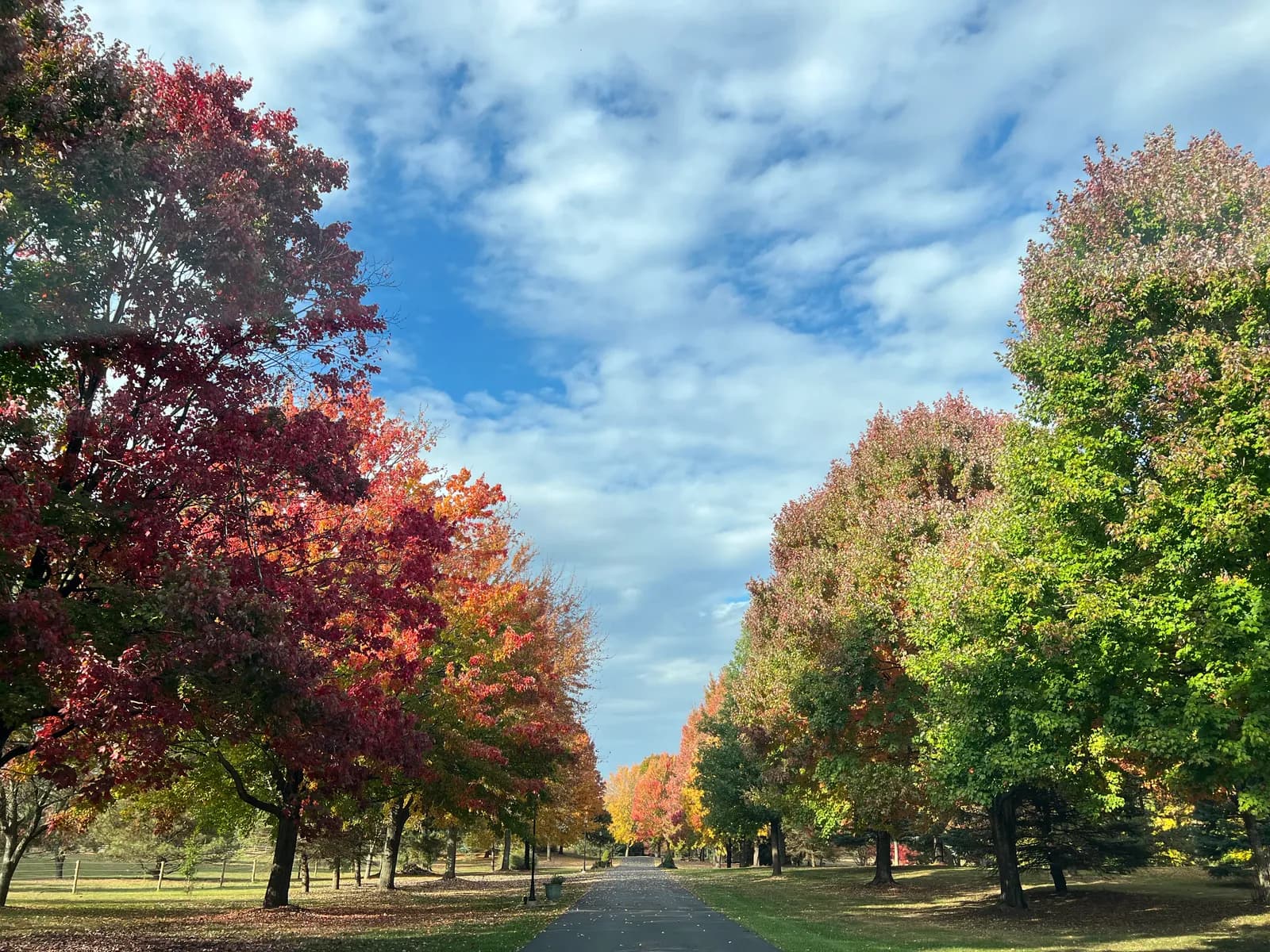 Second Amendment & Self-Defense